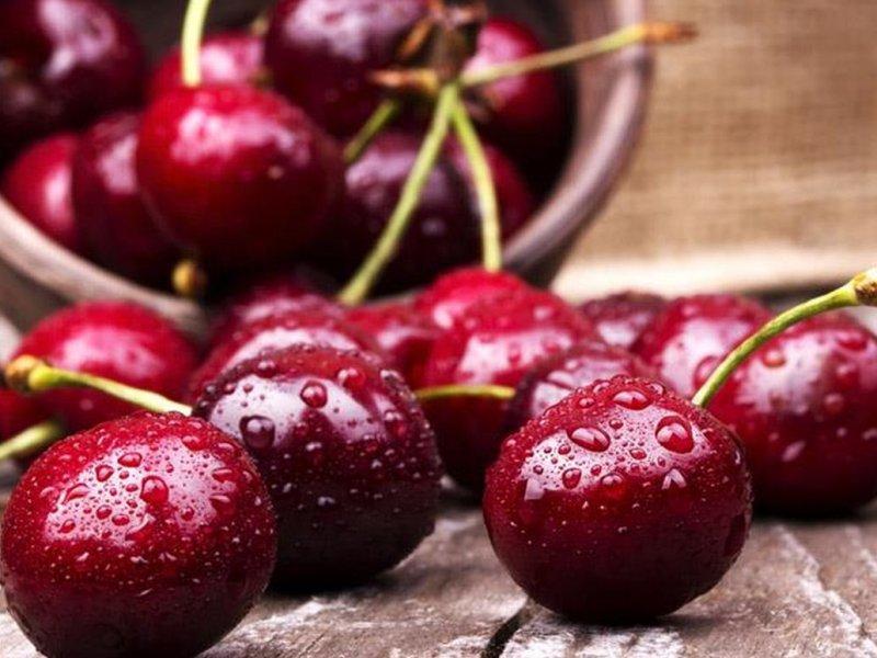 Вишня купить саженцы из питомника в Назарово