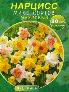 Нарцисс махровый микс 30 шт.